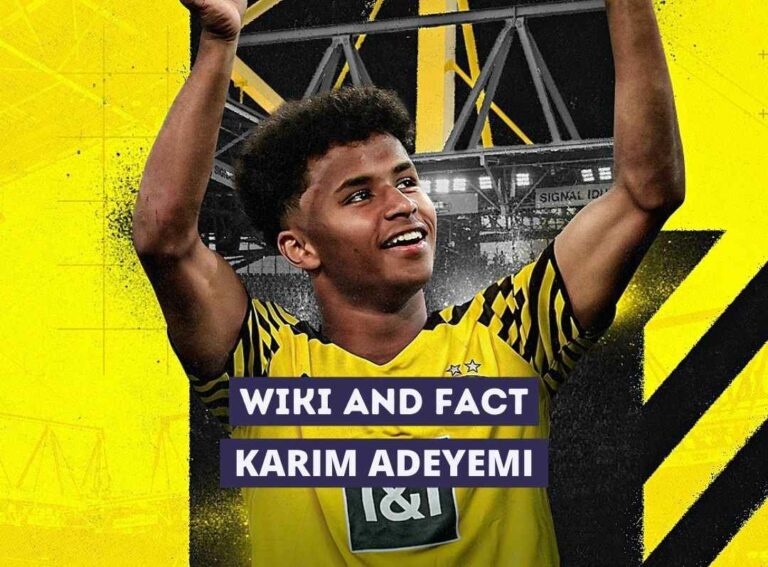 Karim Adeyemi Wiki and Fact